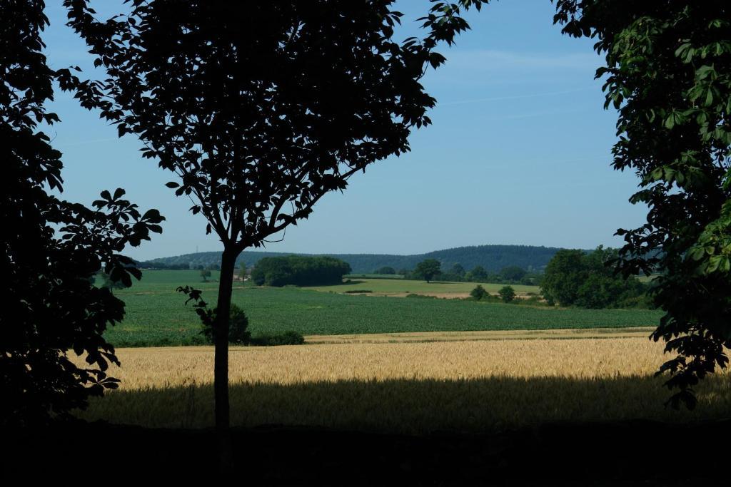 Chambres D'Hotes - Domaine Des Perrieres Crux-la-Ville Buitenkant foto